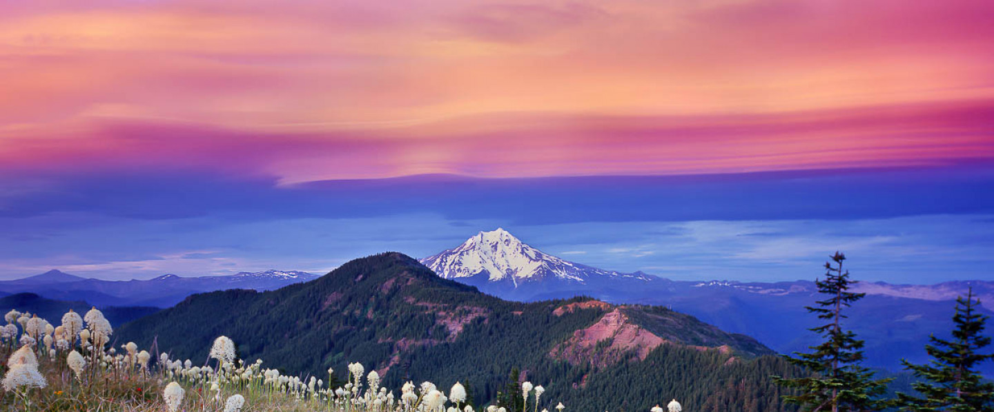 Buying or Selling a home in the Willamette Valley? Contact Greg Now