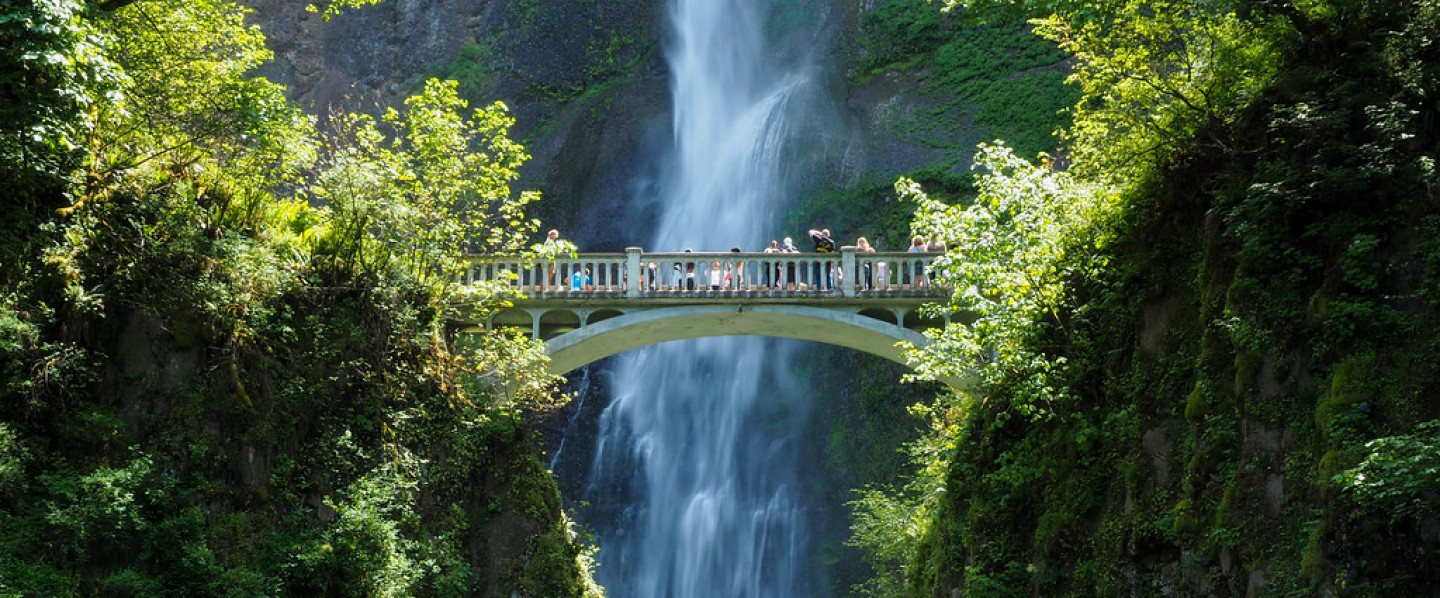 Buying or Selling a home in the Willamette Valley? Contact Greg Now