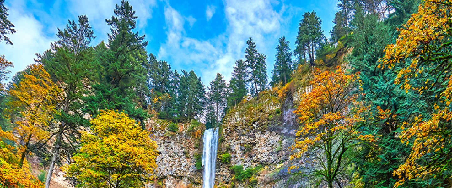 Buying or Selling a home in the Willamette Valley? Contact Greg Now