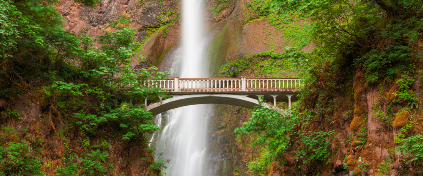 Buying or Selling a home in the Willamette Valley? Contact Greg Now
